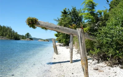 Screenshot 2025-02-14 at 8.18.54 AM Screenshot 2025-02-14 at 8.18.54 AM